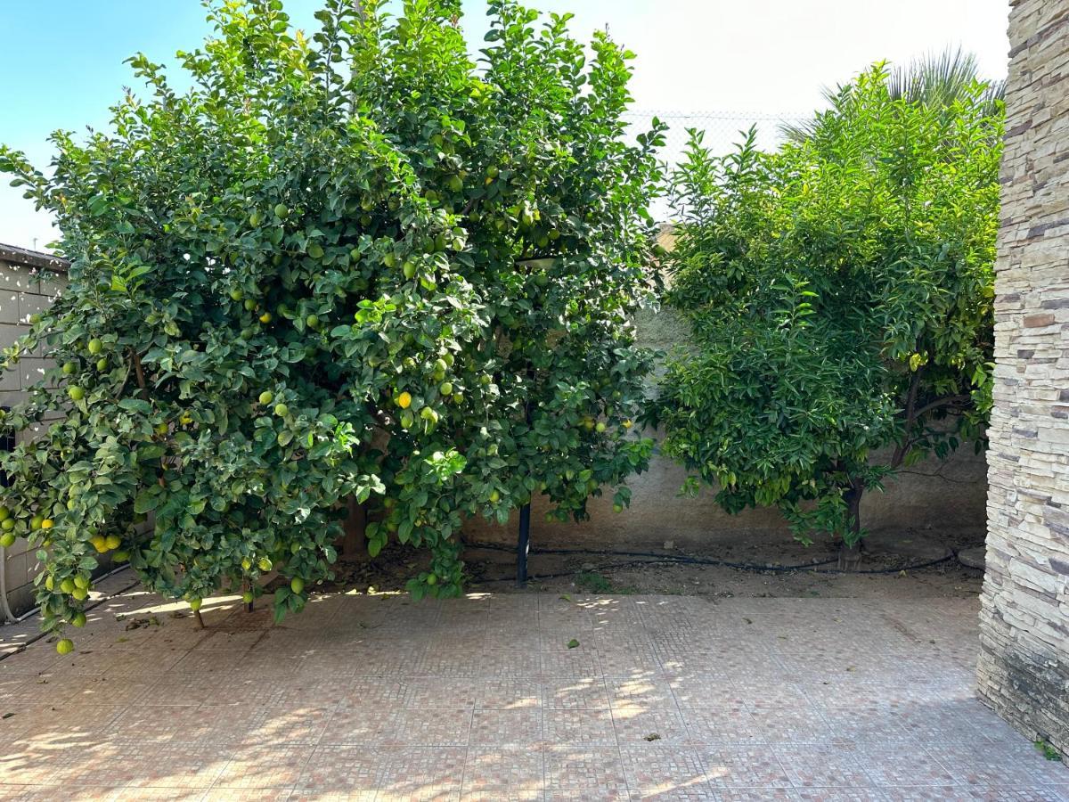 Appartement Casa Peseta, Casa Rural à Vallada Extérieur photo